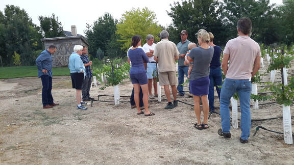 Growers gathered at the Eagle Foothills vineyard, 2018